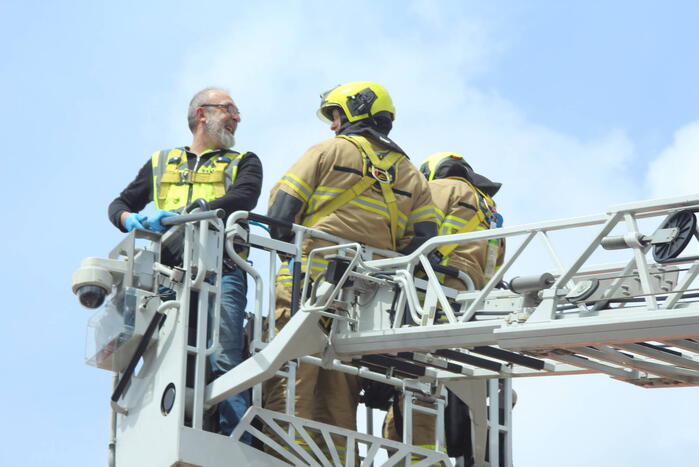 Verzwakte zwaan door brandweer bevrijdt van dakkapel