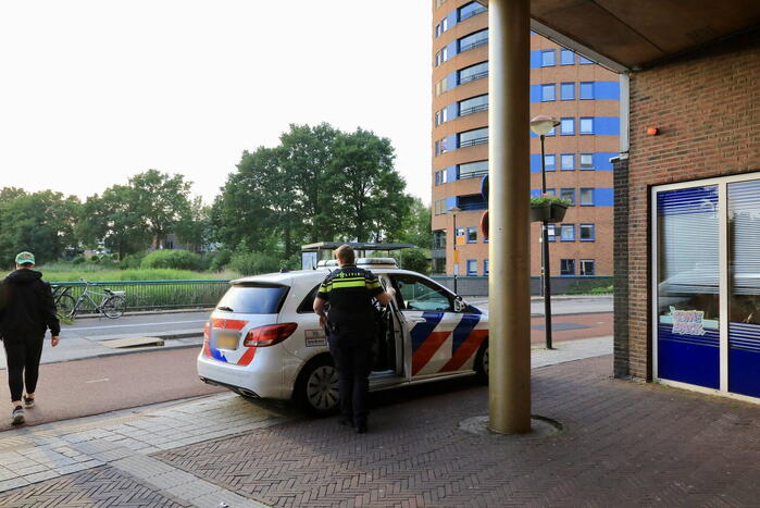 Buitenlandse overlastgever Winkelcentrum De Nieuwe Hof door politie meegenomen