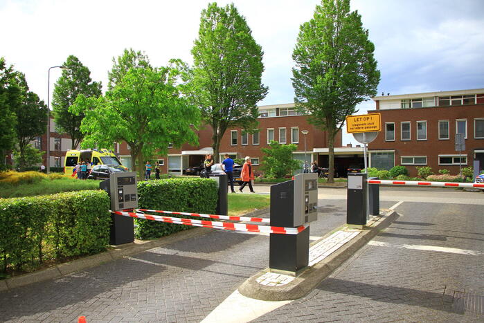 Vogelsbleek Nieuws Weert 