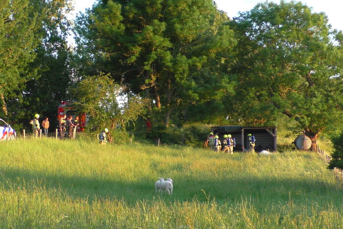 Brand in schuur voor schapen snel onder controle