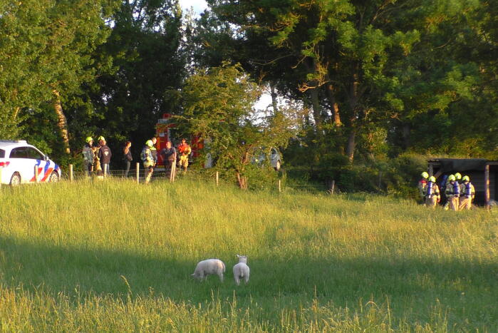 Brand in schuur voor schapen snel onder controle