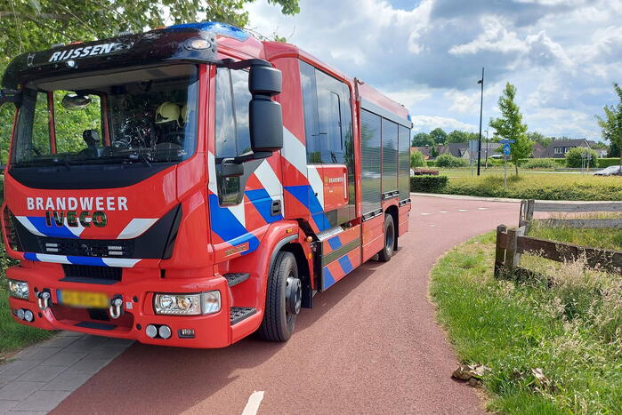 Visdraad brengt eend in problemen