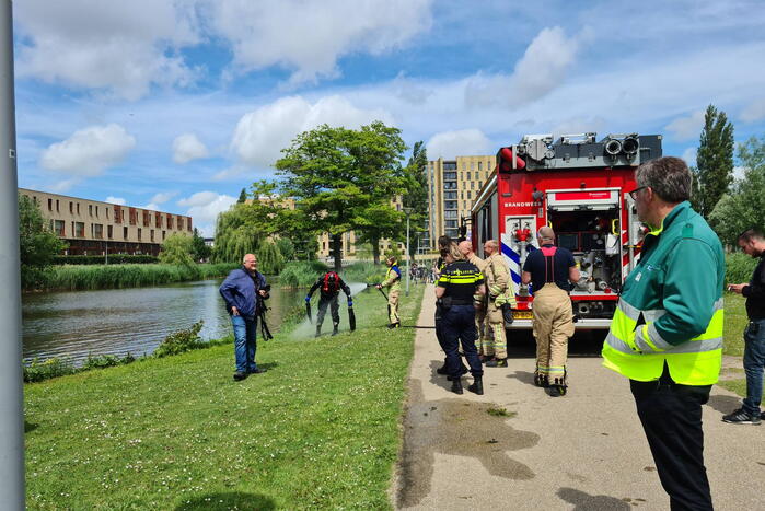 Brandweerduikers doorzoeken vijver