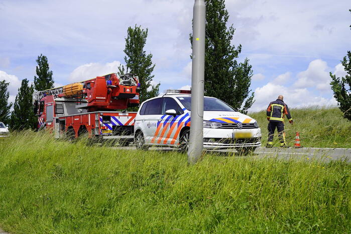 Auto belandt in dichtbegroeide sloot