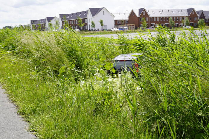 Auto belandt in dichtbegroeide sloot