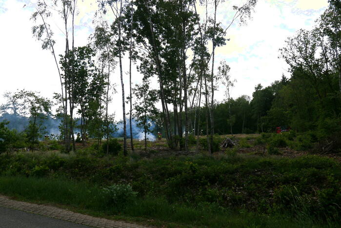 Brand in bosgebied