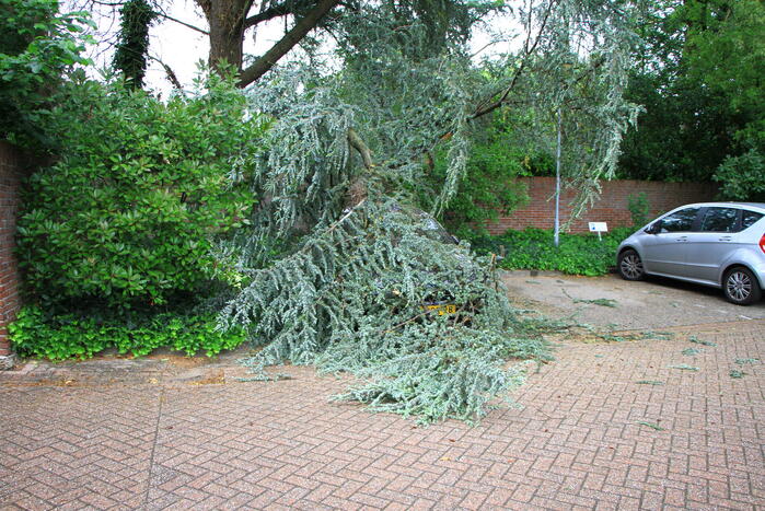 Enorme tak valt op geparkeerde auto