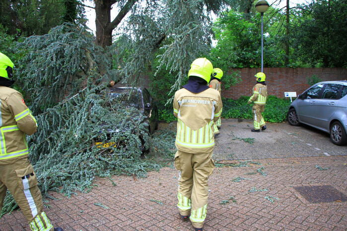 Enorme tak valt op geparkeerde auto