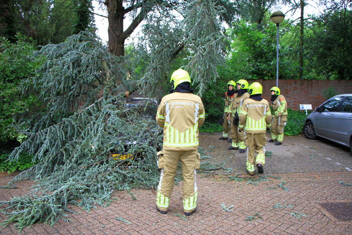 Enorme tak valt op geparkeerde auto