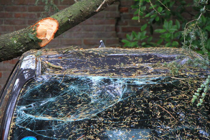 Enorme tak valt op geparkeerde auto