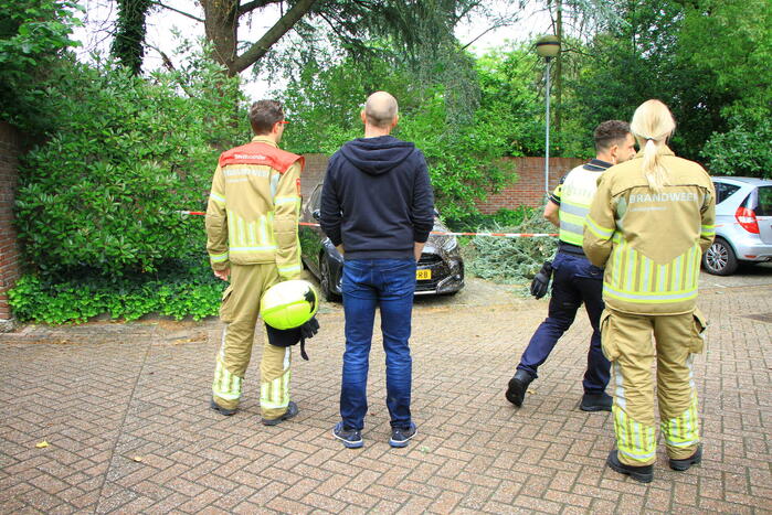 Enorme tak valt op geparkeerde auto