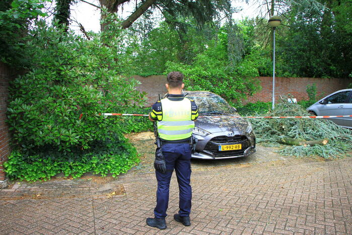 Enorme tak valt op geparkeerde auto