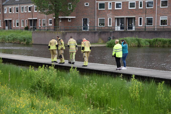 Eendjes herenigd met moeder eend