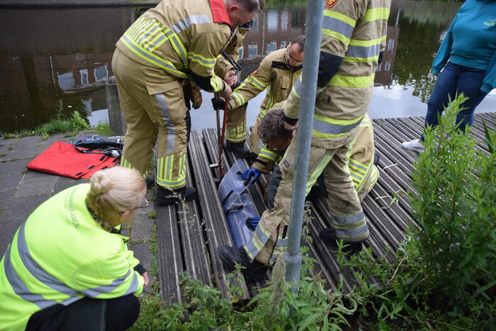 Eendjes herenigd met moeder eend