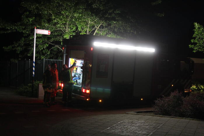 Hulpdiensten redden hond uit water