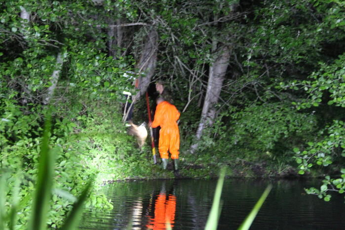 Hulpdiensten redden hond uit water