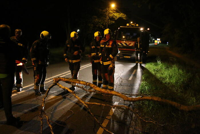 Personenauto beschadigd na omvallende boom