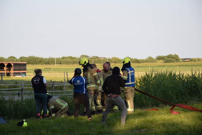 Brandweer redt paard uit de sloot
