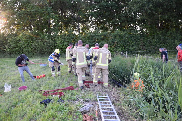Brandweer redt paard uit de sloot
