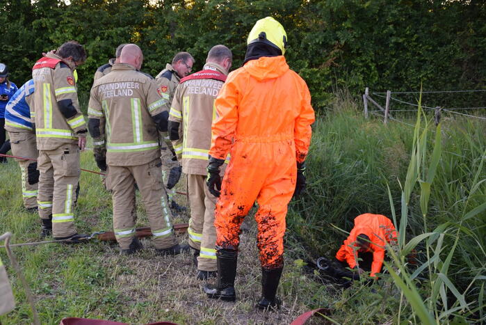 Brandweer redt paard uit de sloot