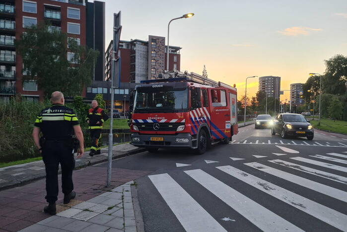 Automobilist rijdt tegen lantaarnpaal