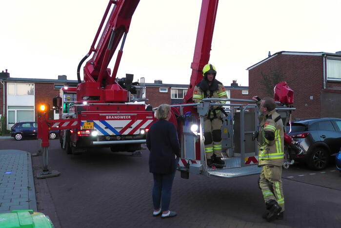 Brandweer redt kraai uit boom