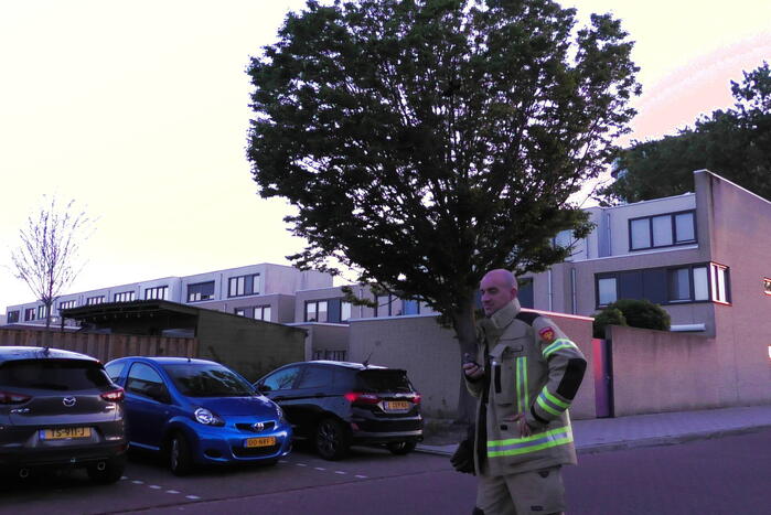 Brandweer redt kraai uit boom