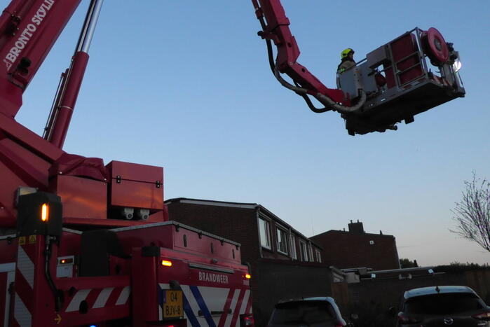 Brandweer redt kraai uit boom
