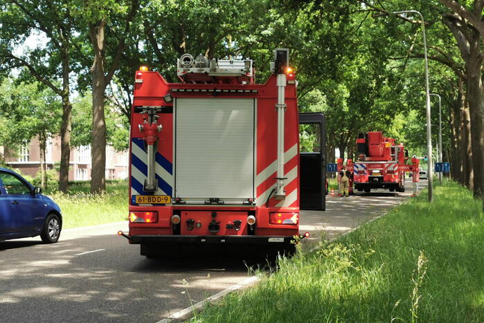 Flinke tak zorgt voor gevaarlijke situatie