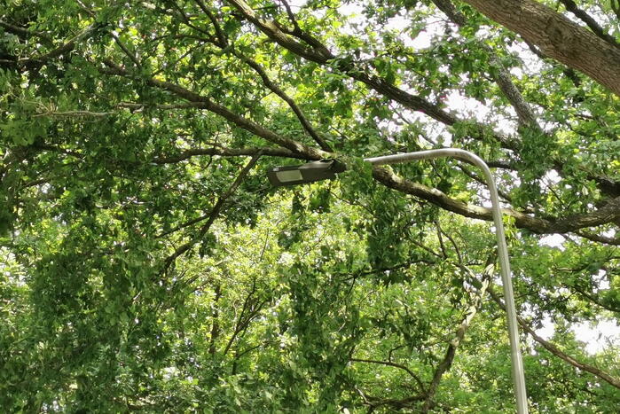 Flinke tak zorgt voor gevaarlijke situatie