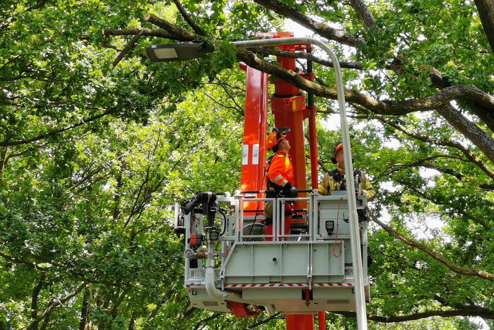 Flinke tak zorgt voor gevaarlijke situatie
