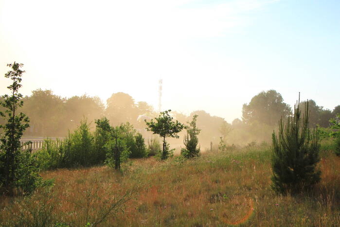 Traumahelikopter landt voor ongeval