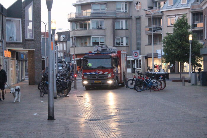 Vastzittende duif bevrijdt