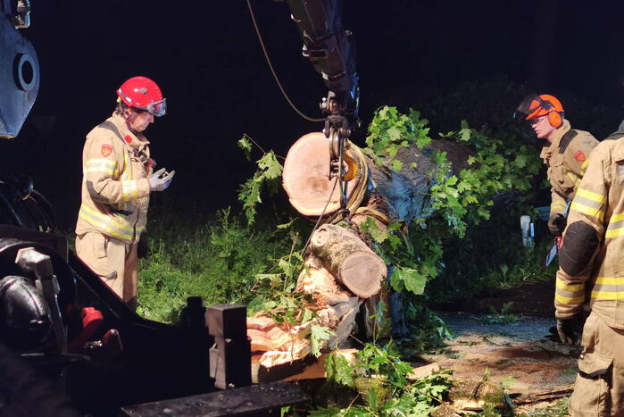Brandweer verwijdert omgevallen boom