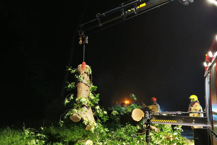 Brandweer verwijdert omgevallen boom
