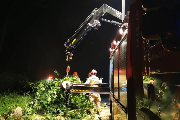 Brandweer verwijdert omgevallen boom