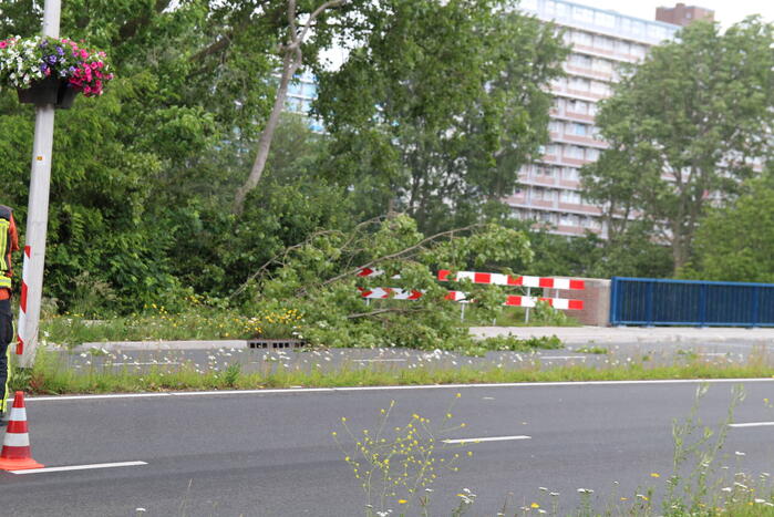 Afgebroken tak dreigt op weg te vallen