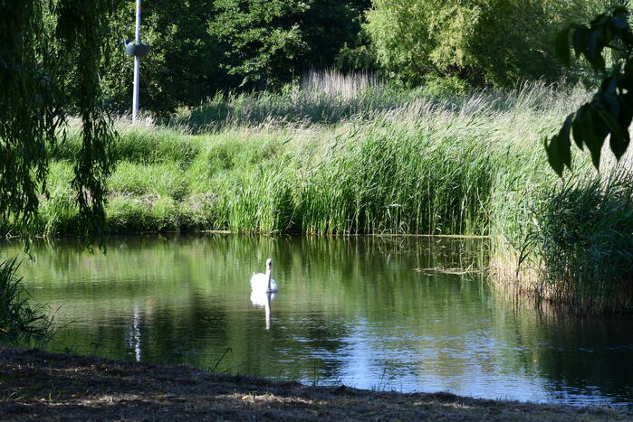 Horst 22 Nieuws Lelystad 