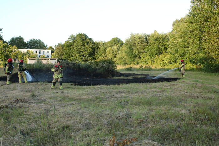 Brandweer blust brandend riet