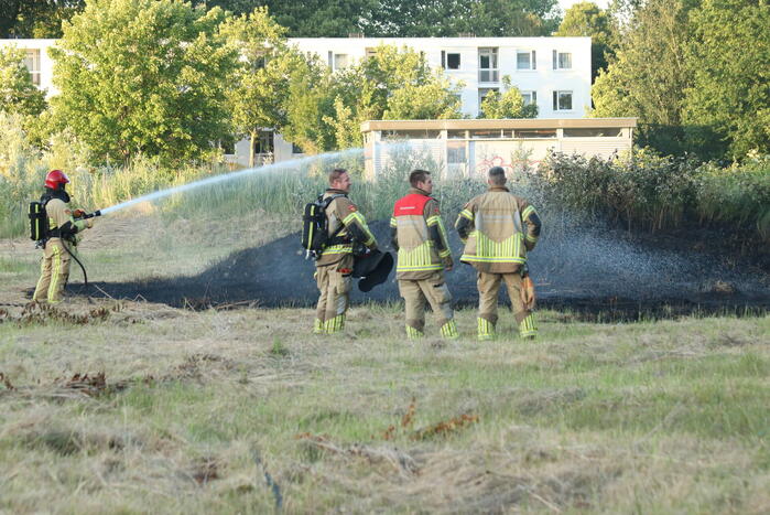 Brandweer blust brandend riet