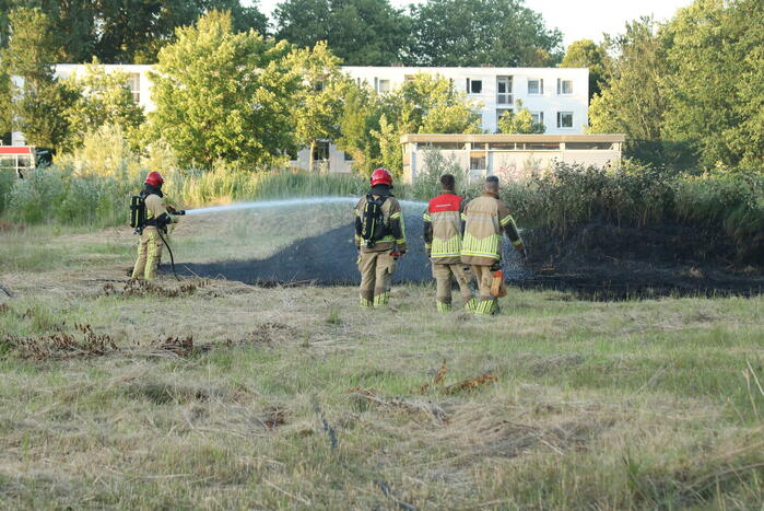 Brandweer blust brandend riet