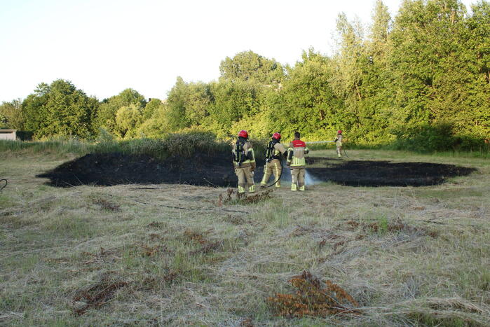 Brandweer blust brandend riet