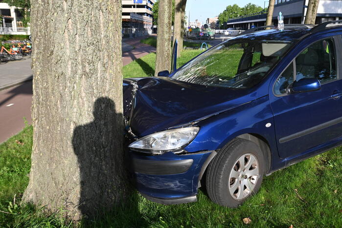 Bestuurder parkeert auto tegen boom en verdwijnt