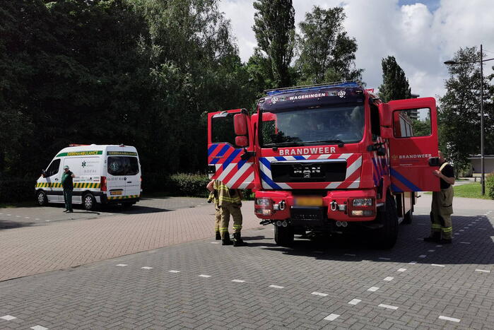 Baby eendjes uit een put gevist