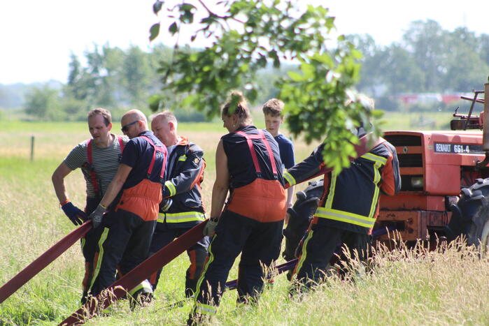 Een te water geraakte koe uit het water gehaald