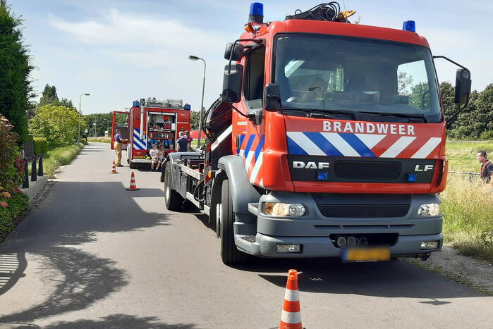 Reddingsactie voor paard te water