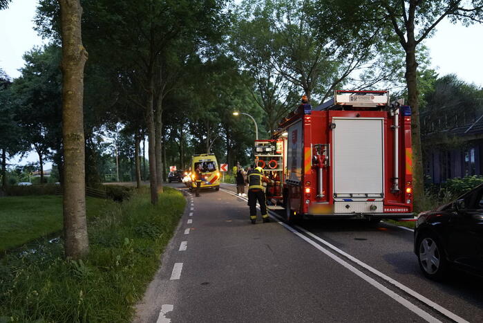 Auto tegen boom
