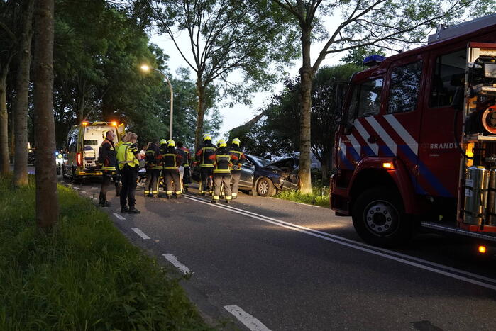 Auto tegen boom