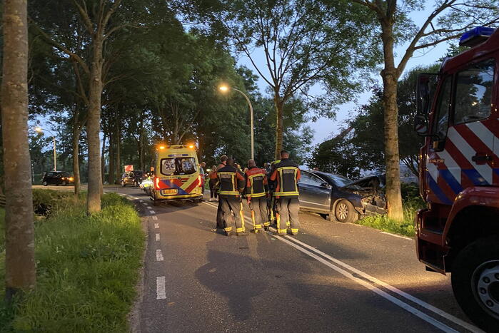 Auto tegen boom