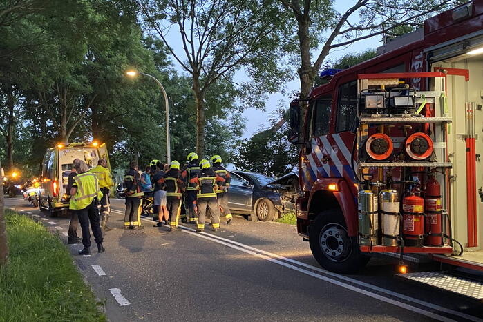 Auto tegen boom